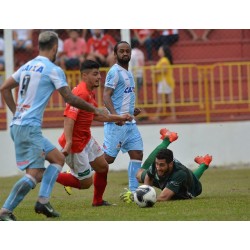 Rio Branco recebe o Cianorte no Atílio Gionedis pelo Estadual 2021